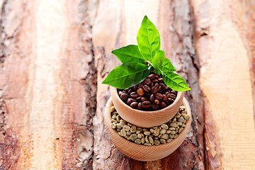 Image showing coffee beans