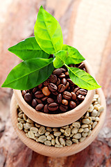 Image showing coffee beans