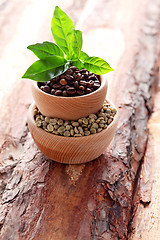 Image showing coffee beans