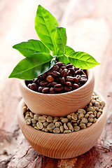 Image showing coffee beans