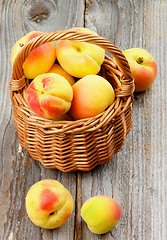 Image showing Apricots