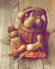 Image showing Boletus Mushrooms