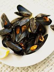 Image showing Mussels