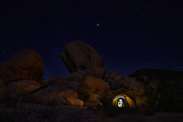 Image showing Camping at Night in Joshua Tree Park