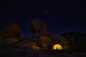 Image showing Camping at Night in Joshua Tree Park