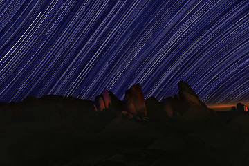 Image showing Star Trails in Joshua Tree National Park
