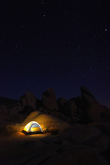 Image showing Camping at Night in Joshua Tree Park