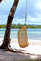 Image showing lagoon  beach seaweed in seat osier 