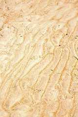 Image showing sand in the beach abstract thailand kho pink