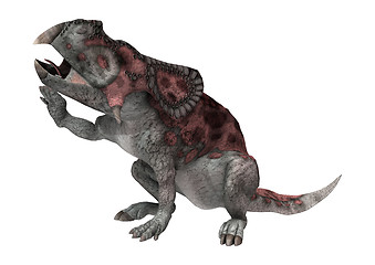 Image showing Dinosaur Protoceratops