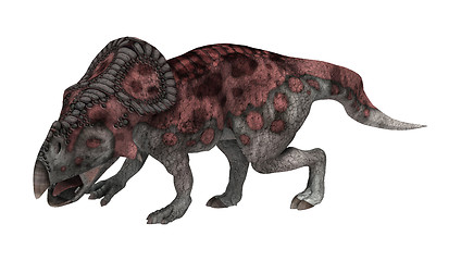 Image showing Dinosaur Protoceratops