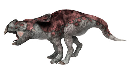 Image showing Dinosaur Protoceratops 