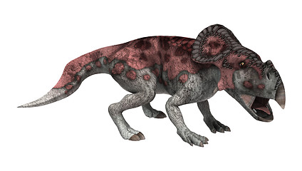 Image showing Dinosaur Protoceratops