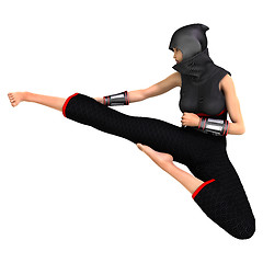 Image showing Ninja