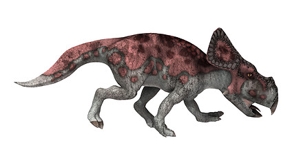 Image showing Dinosaur Protoceratops