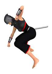 Image showing Ninja