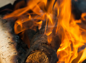 Image showing Burning fire wood