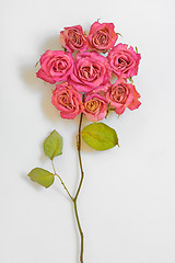 Image showing Bouquet of dried roses