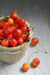 Image showing Sweet Cherries in Bucket