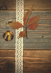 Image showing tape lace, button and herbarium