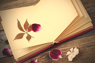 Image showing open book with herbarium leaves and petals of geraniums on the p