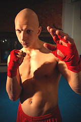 Image showing Portrait of a fighter with fists in red bandages