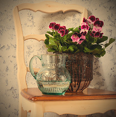 Image showing geranium and a jug with water