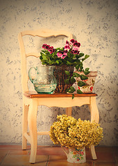 Image showing pelargonium, fuchsia and hydrangea