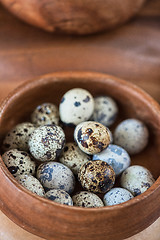 Image showing Fresh eggs 