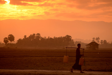 Image showing ASIA MYANMAR MYEIK AGRACULTURE