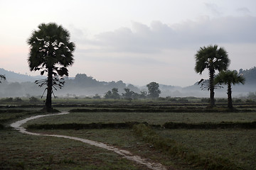 Image showing ASIA MYANMAR MYEIK LANDSCAPE