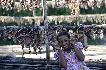 Image showing ASIA MYANMAR MYEIK DRY FISH PRODUCTION