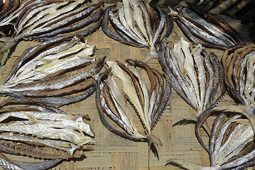 Image showing ASIA MYANMAR MYEIK DRY FISH PRODUCTION