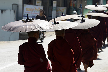 Image showing ASIA MYANMAR MYEIK CITY MONK