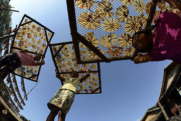 Image showing ASIA MYANMAR MYEIK DRY FISH PRODUCTION