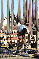 Image showing ASIA MYANMAR MYEIK DRY FISH PRODUCTION