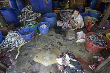 Image showing ASIA MYANMAR MYEIK DRY FISH PRODUCTION