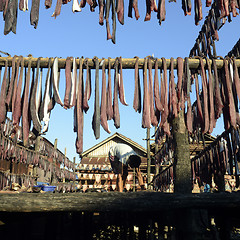 Image showing ASIA MYANMAR MYEIK DRY FISH PRODUCTION