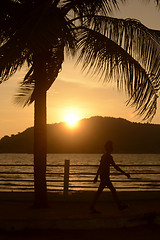 Image showing ASIA MYANMAR MYEIK ANDAMAN SEA