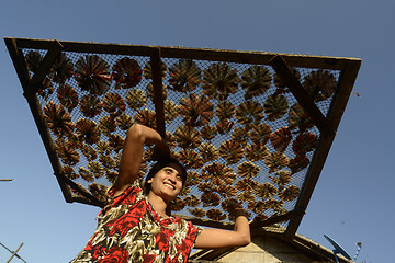 Image showing ASIA MYANMAR MYEIK DRY FISH PRODUCTION