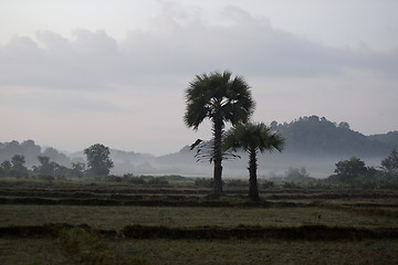 Image showing ASIA MYANMAR MYEIK LANDSCAPE