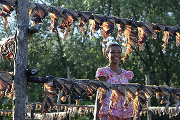 Image showing ASIA MYANMAR MYEIK DRY FISH PRODUCTION