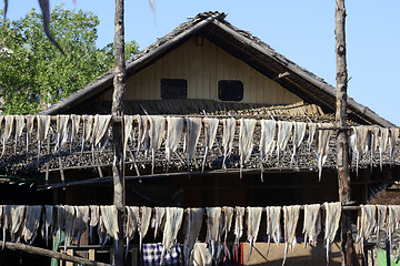 Image showing ASIA MYANMAR MYEIK DRY FISH PRODUCTION