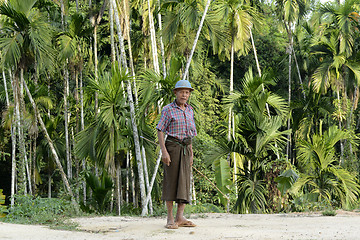 Image showing ASIA MYANMAR MYEIK PEOPLE