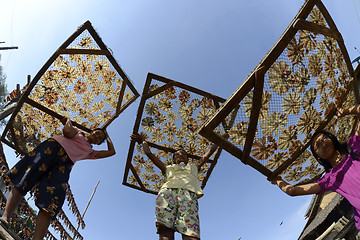 Image showing ASIA MYANMAR MYEIK DRY FISH PRODUCTION