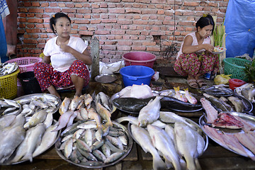 Image showing ASIA MYANMAR MYEIK MARKET