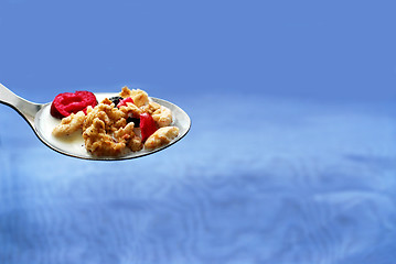 Image showing Spoon of cereal