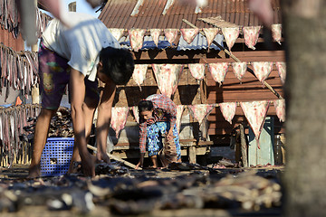 Image showing ASIA MYANMAR MYEIK DRY FISH PRODUCTION