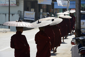 Image showing ASIA MYANMAR MYEIK CITY MONK