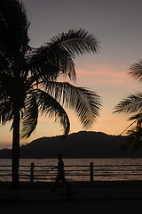 Image showing ASIA MYANMAR MYEIK ANDAMAN SEA